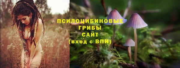 винт Армянск