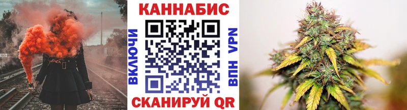 Канабис планчик Ноябрьск